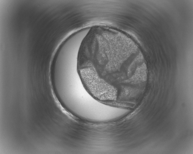 X0000068721038200605192248