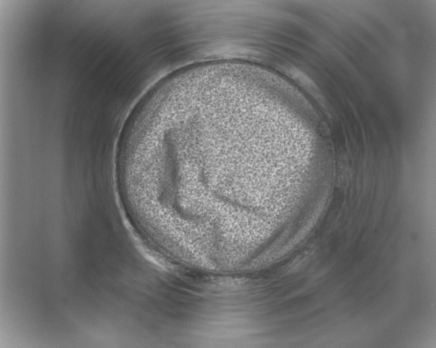 X0000068721039200605192248