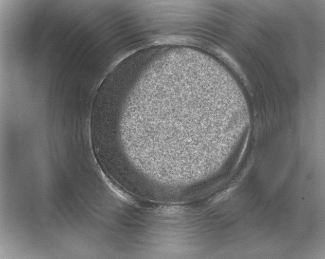 X0000068721041200605192248