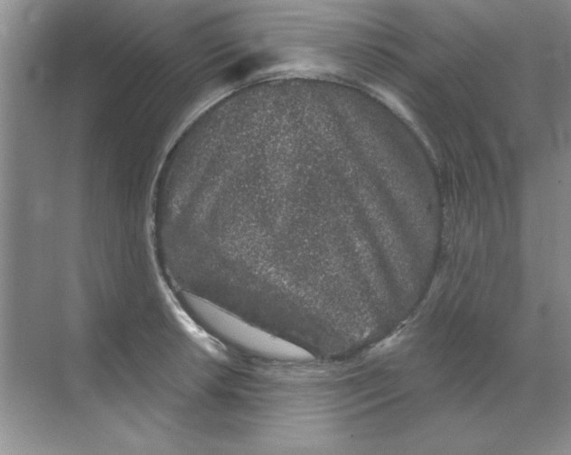 X0000068721042200605192248