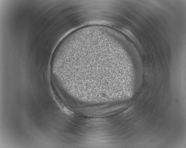 X0000068721044200605192248