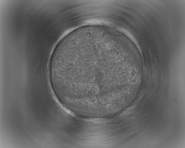 X0000068721045200605192248