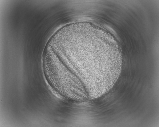 X0000068721047200605192248