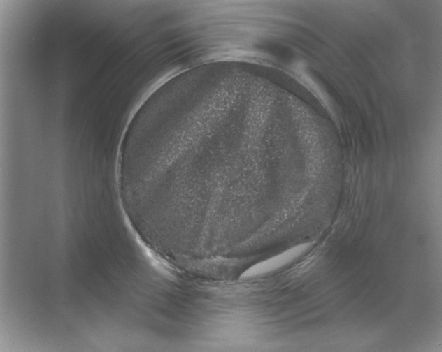 X0000068721050200605192248