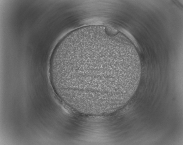 X0000068721051200605192248