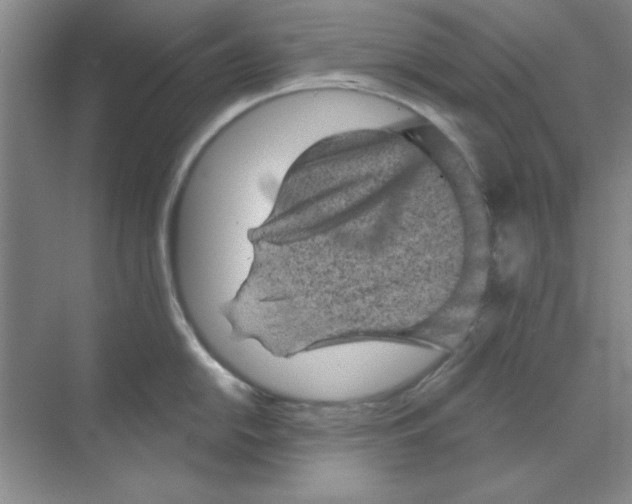 X0000068721054200605192248