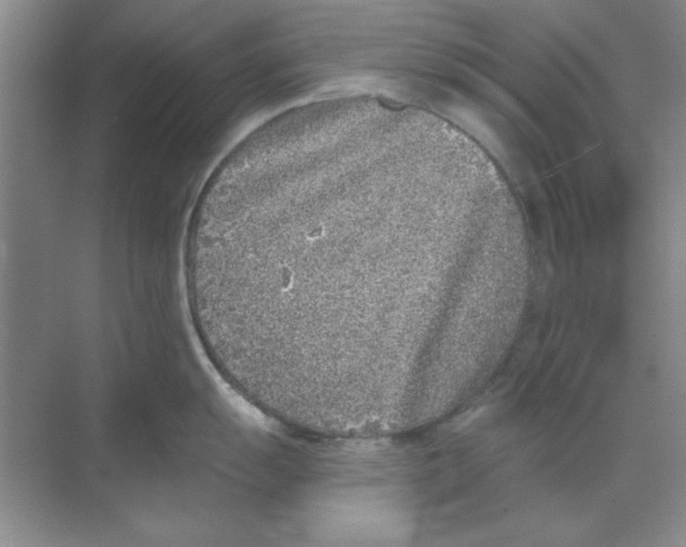 X0000068721055200605192248