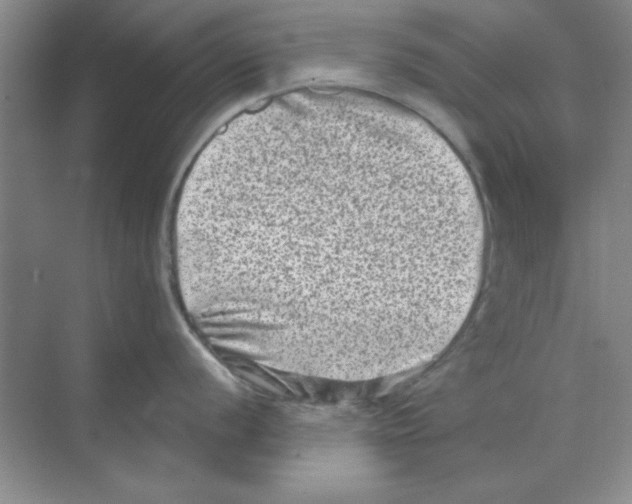 X0000068721056200605192248