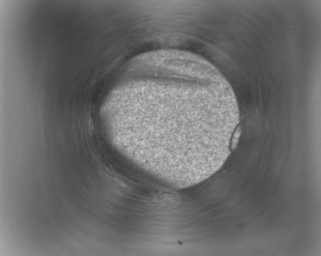 X0000068721058200605192247