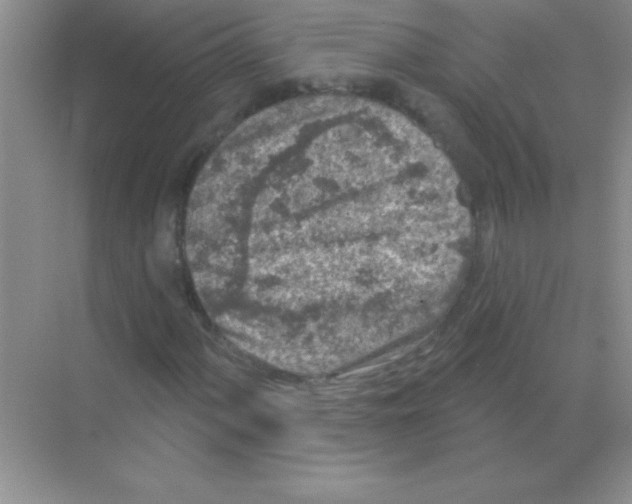 X0000068721060200605192247