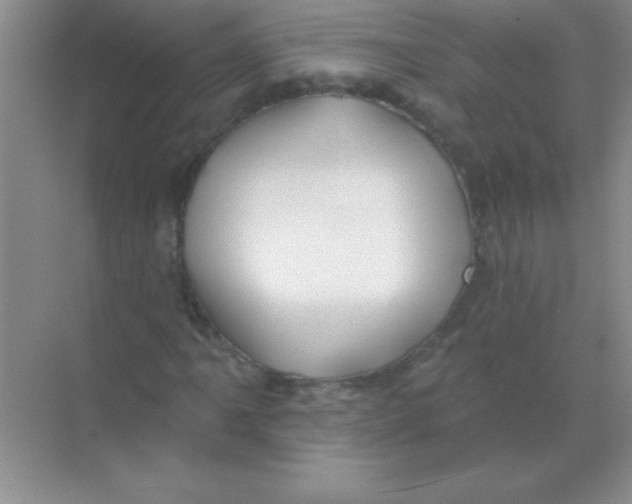 X0000068721061200605192247