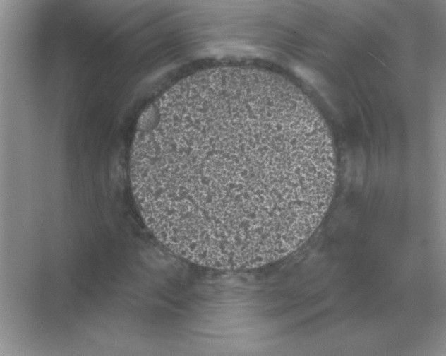 X0000068721063200605192247