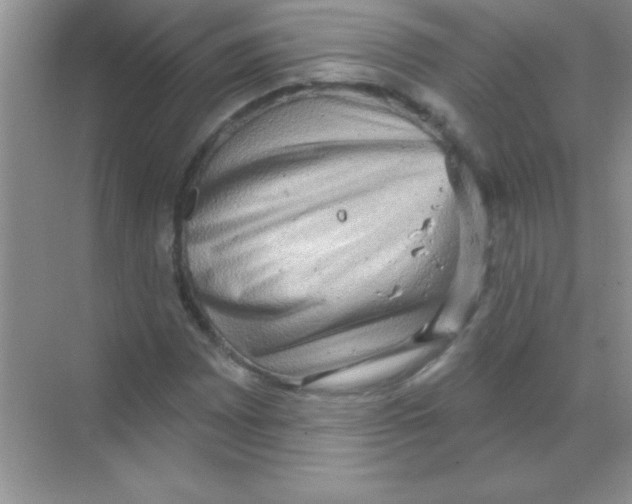 X0000068721065200605192247