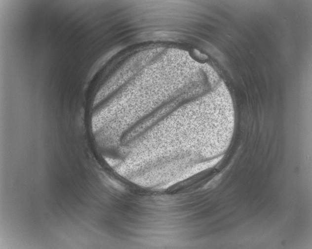 X0000068721066200605192247