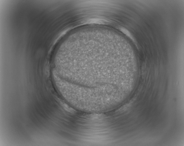 X0000068721067200605192247