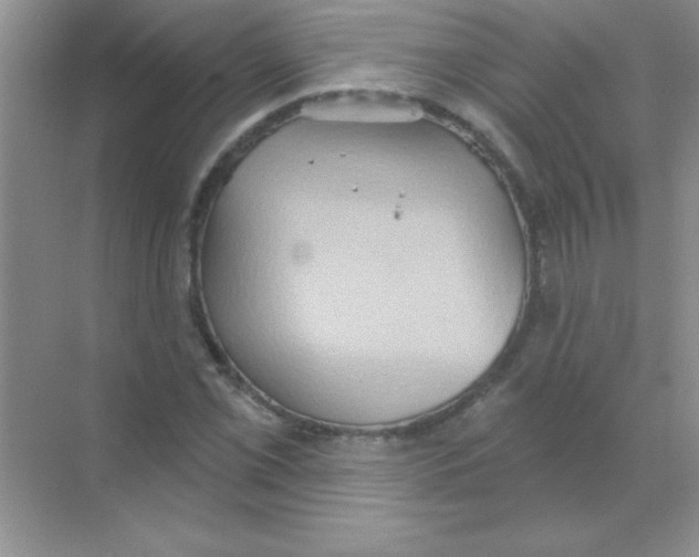 X0000068721069200605192247