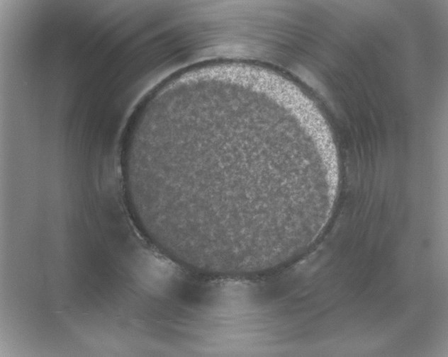 X0000068721070200605192247