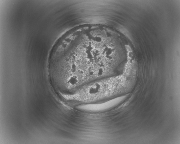 X0000068721071200605192247