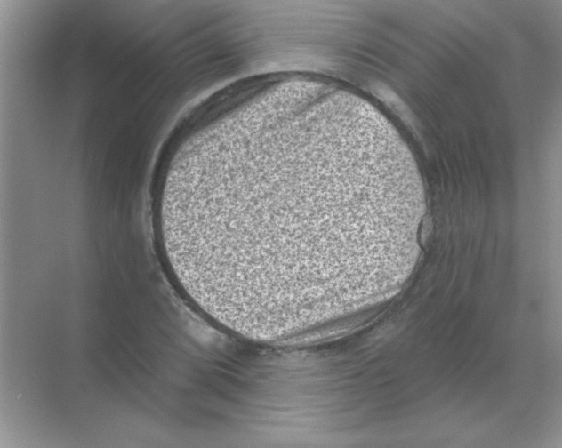 X0000068721072200605192247