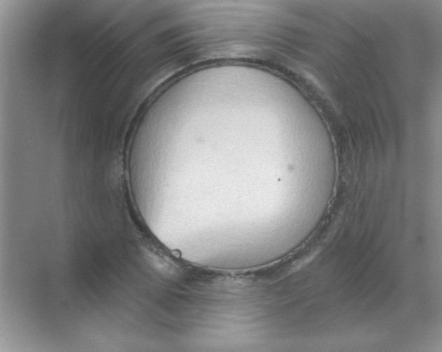 X0000068721073200605192247