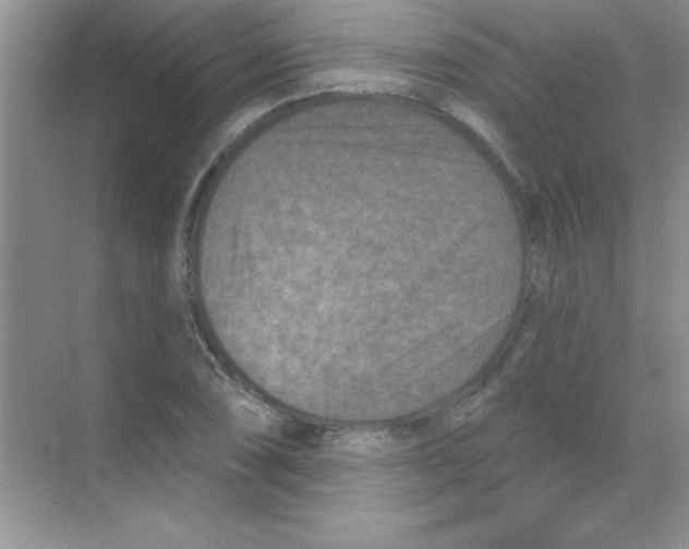 X0000068721074200605192247