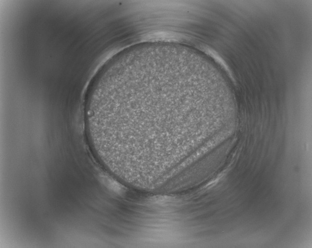 X0000068721075200605192247