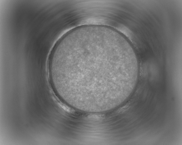 X0000068721078200605192247