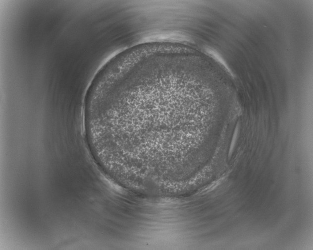 X0000068721079200605192247