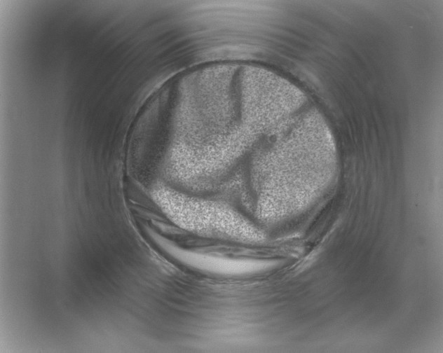 X0000068721081200605192247