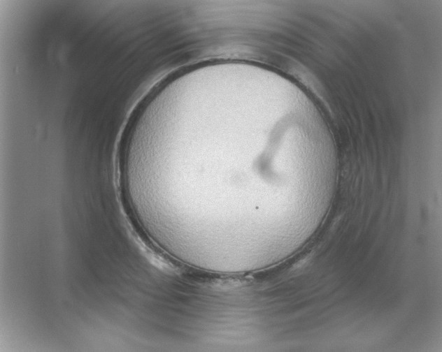 X0000068721082200605192247