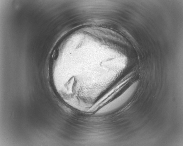 X0000068721083200605192247