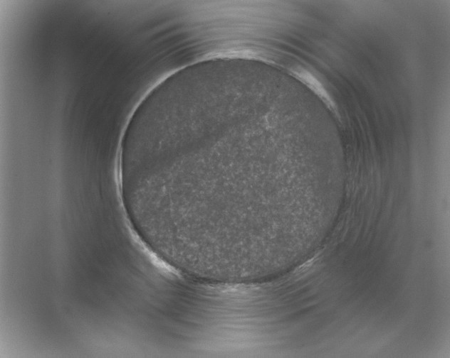 X0000068721084200605192247