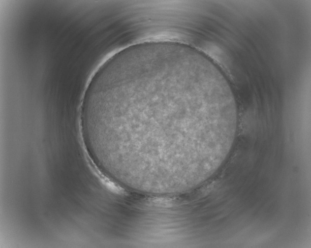 X0000068721086200605192247