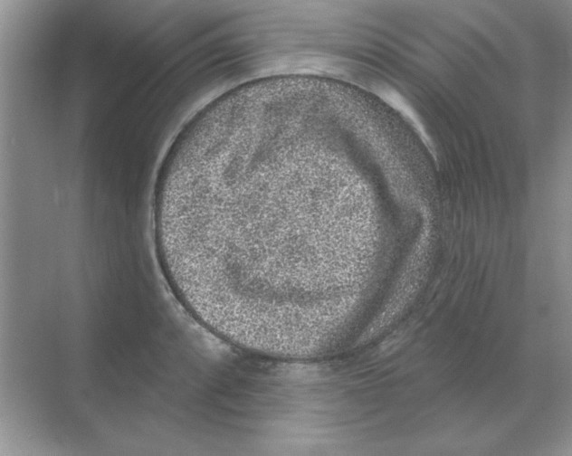 X0000068721088200605192247