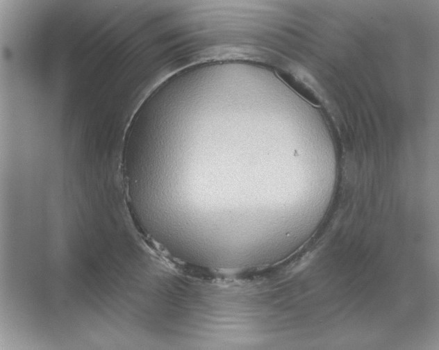 X0000068721089200605192247