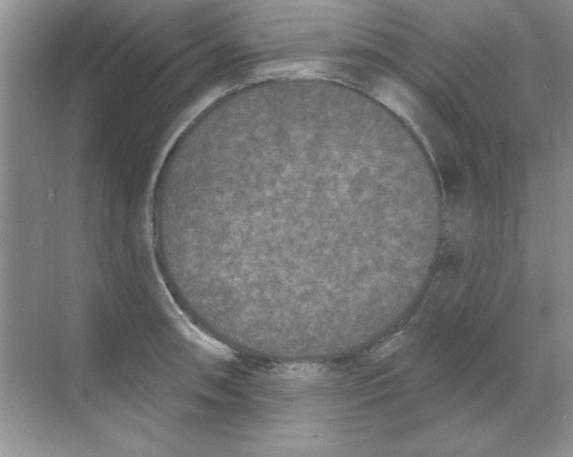 X0000068721090200605192247