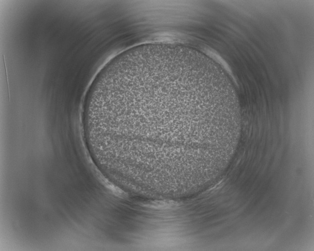 X0000068721091200605192247