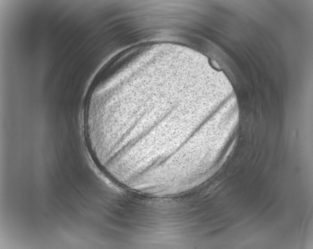 X0000068721092200605192247