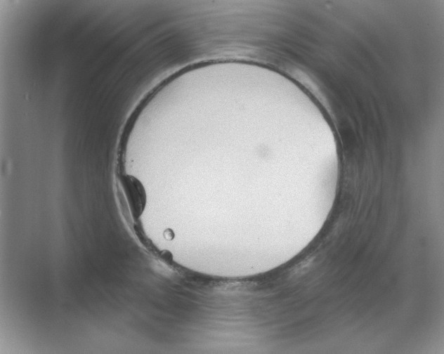 X0000068721093200605192247