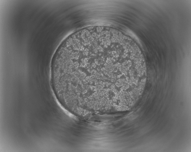 X0000068721095200605192247