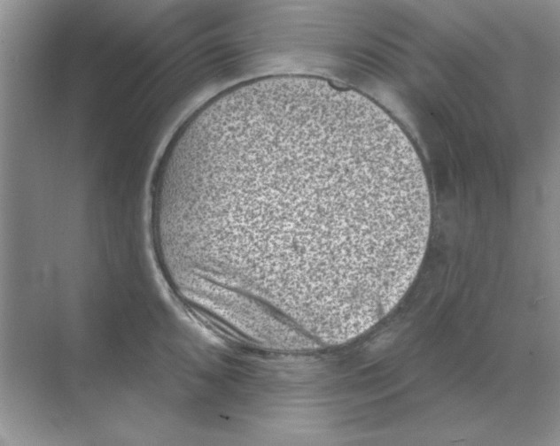 X0000068721096200605192247