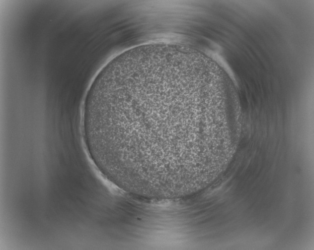 X0000068721099200605192247