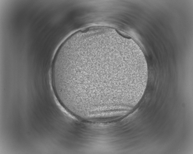 X0000068721100200605192247