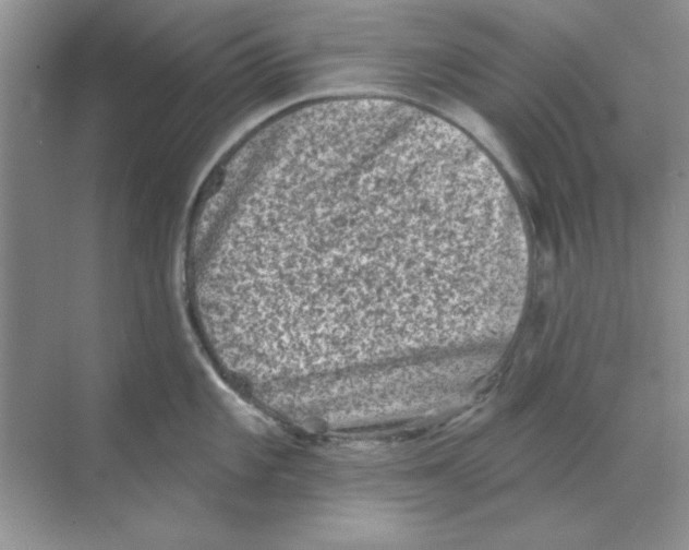 X0000068721101200605192247