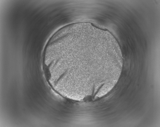 X0000068721102200605192247