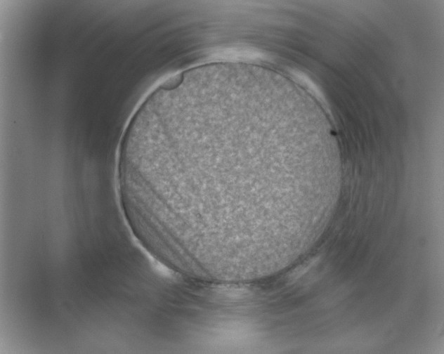 X0000068721103200605192247