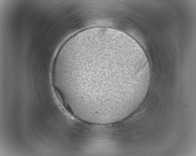 X0000068721104200605192247