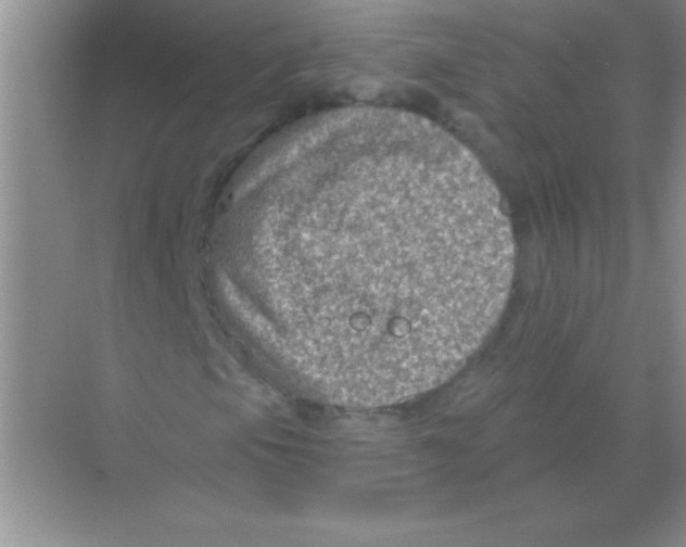 X0000068721105200605192246