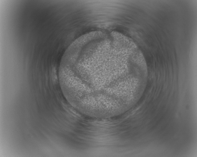 X0000068721106200605192246