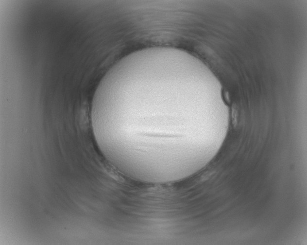 X0000068721107200605192246